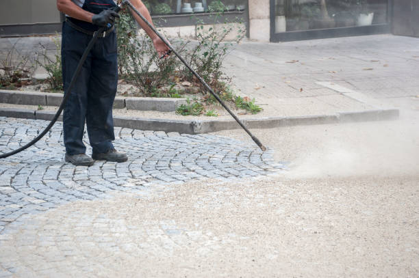 Best Driveway Pressure Washing  in Bayou Country Clu, LA